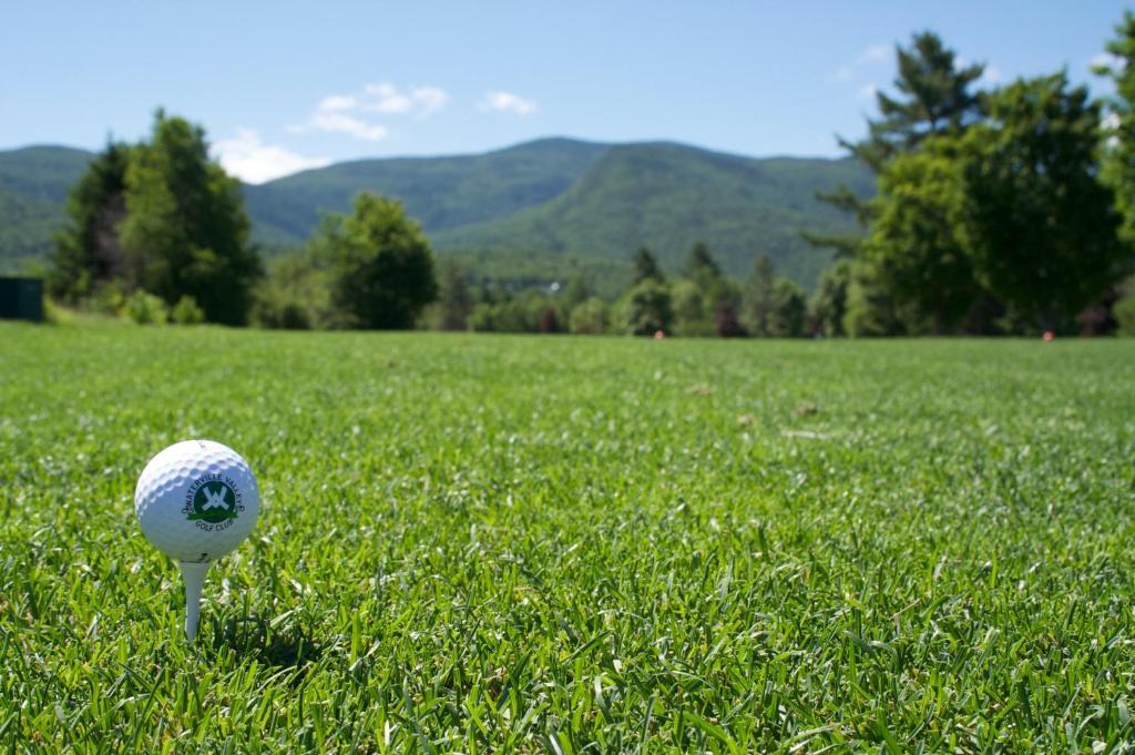 Black Bear Lodge Waterville Valley Dış mekan fotoğraf