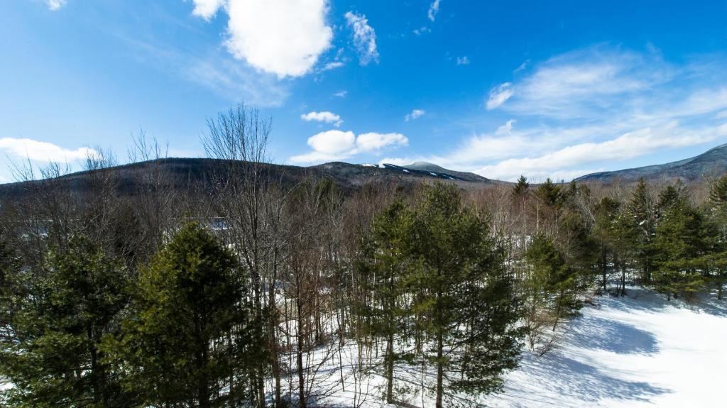 Black Bear Lodge Waterville Valley Dış mekan fotoğraf